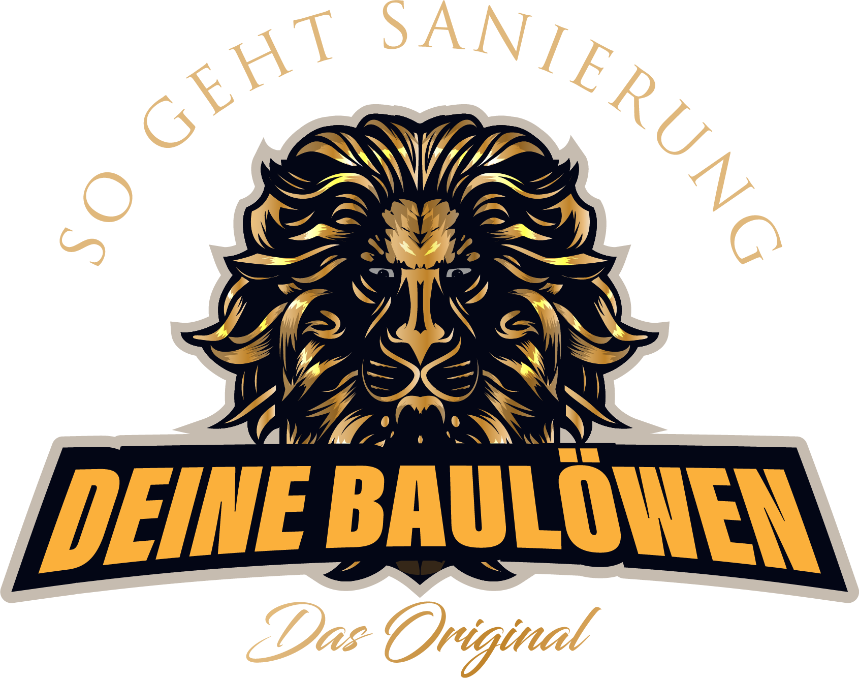 Deine Baulöwen — So geht Sanierung